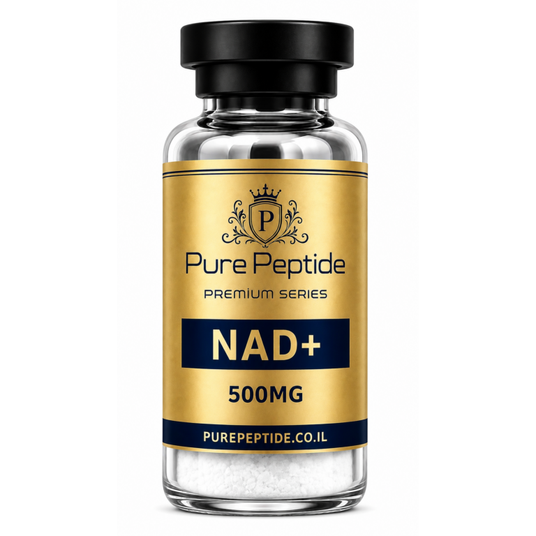 PP NAD+ NAD+